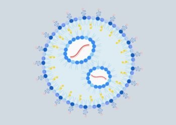 Nanoparticle containing mRNA shown to prevent and treat peanut allergy in mice. Nano Digest