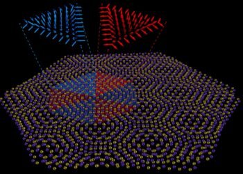 Merons and antimerons. Nano Digest.
