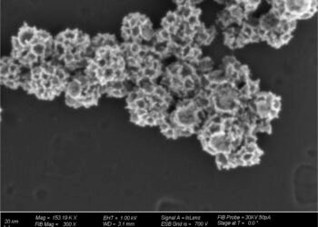 New Nanotech drug delivery system for Cancer Treatments. Nano Digest.