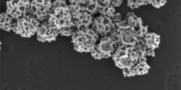 New Nanotech drug delivery system for Cancer Treatments. Nano Digest.