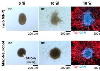 Can we connect to a virtual world like in the movie "Matrix"?. Nano Digest.
