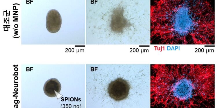 Can we connect to a virtual world like in the movie "Matrix"?. Nano Digest.
