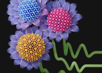 A self-assembled crystal structure discovered. Nano Digest.