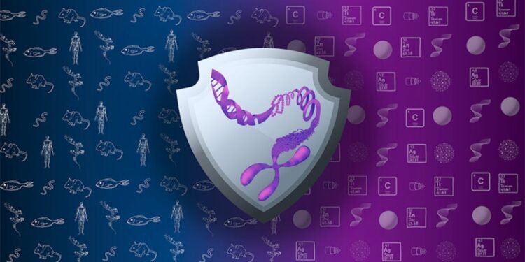 How Different Species Share Specific Epigenetic Reactions to Molecules. Nano Digest.