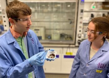 A mechanical filter sponge removes lead from the water. Nano Digest.