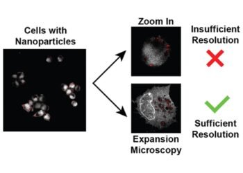 Advanced imaging platform technology. Nano Digest.