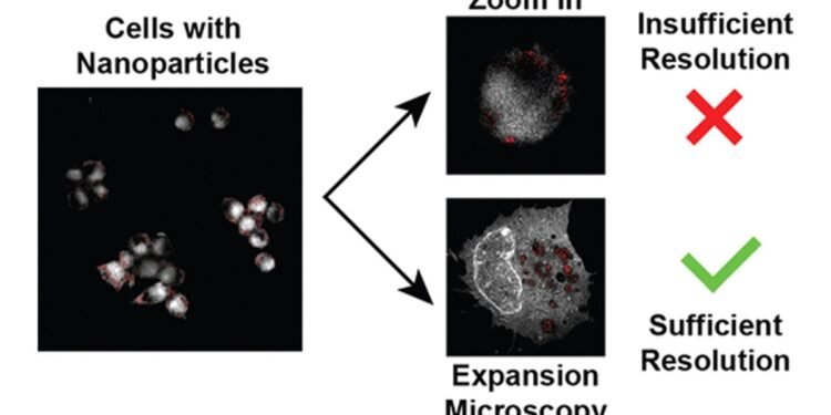 Advanced imaging platform technology. Nano Digest.