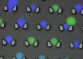 The future of data storage lies in DNA microcapsules. Nano Digest.