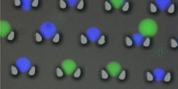 The future of data storage lies in DNA microcapsules. Nano Digest.