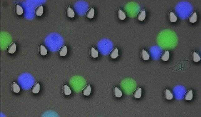 The future of data storage lies in DNA microcapsules. Nano Digest.