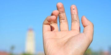 Soft 'e-skin' Just Like Real Skin. Nano Digest.
