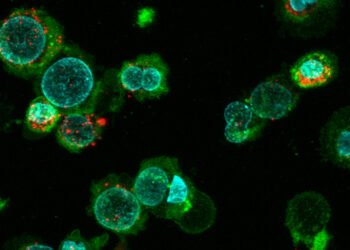 A new method for the production of therapeutic nanovesicles. Nano Digest.