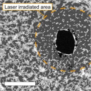 Laser Induced Monolayer Graphene Nanoprocessing. Nano Digest.