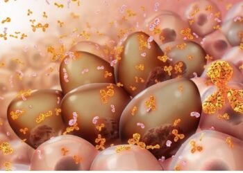 Advanced RNA nanoparticle therapy. Nano Digest.