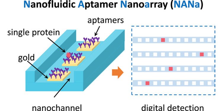 Pioneering steps for digital analysis in cellular collections. Nano Digest.