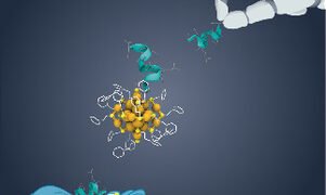 Nano-Sized Metal Clusters. Nano Digest.