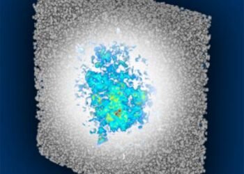 Optical Waves can be Trapped. Nano Digest
