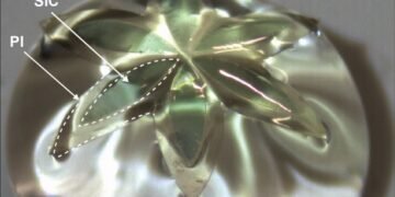 Flexible Electronic Systems from material. Nano Digest.