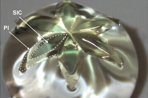 Flexible Electronic Systems from material. Nano Digest.