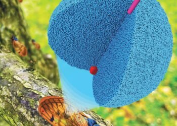 Insect wings could inspire new self-cleaning technology. Nano Digest.