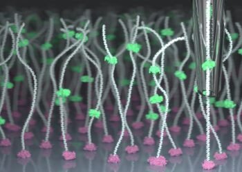 Researchers control individual molecules for precise detection. Nano Digest.