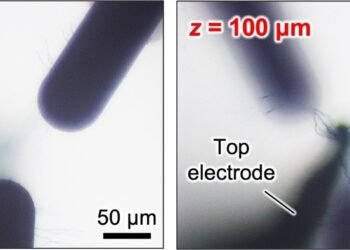 Developing polymer-inspired brains for artificial neural networks. Nano Digest.