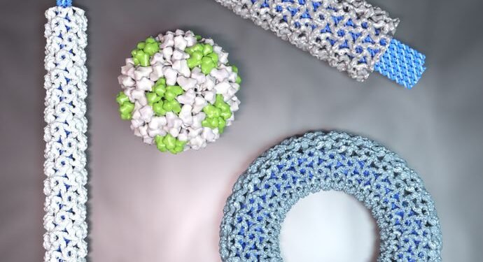 Reengineering the shape of the viral capsid could advance biomedicine. Nano Digest.