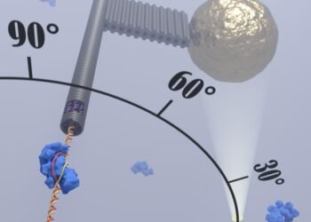 Researchers Observe the Procedure of CRISPR Genetic Sissors. Nano Digest.