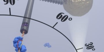 Researchers Observe the Procedure of CRISPR Genetic Sissors. Nano Digest.