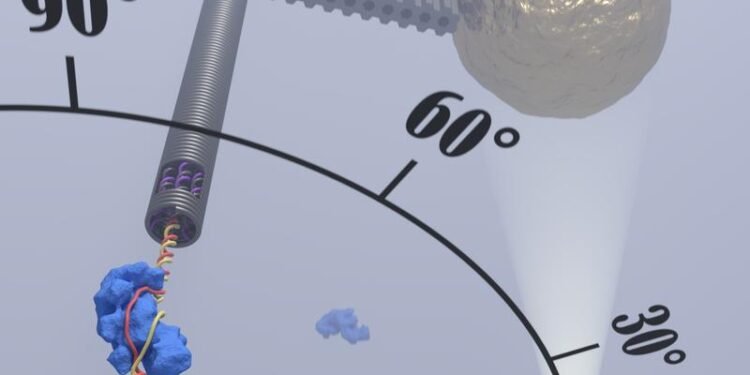 Researchers Observe the Procedure of CRISPR Genetic Sissors. Nano Digest.