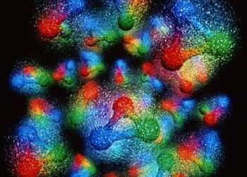 Analyzes Impurities in Nuclei. Nano Digest.