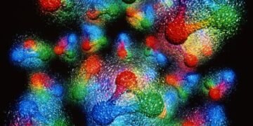 Analyzes Impurities in Nuclei. Nano Digest.