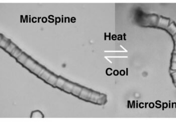 A New Method to create microscale superstructures. Nano Digest.