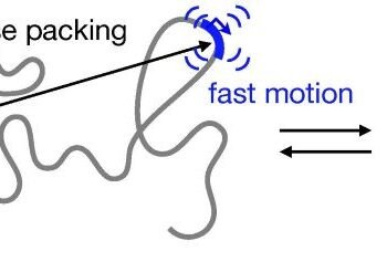 Real-time DNA organization. Nano Digest