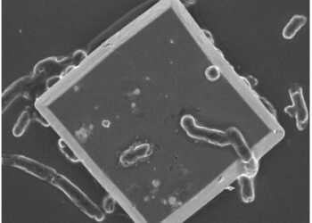 How Solar Microbes Turn CO2 into Bioplastic. Nano Digest.