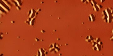 Glass in Liquid with Increasing Temperature. Nano Digest.