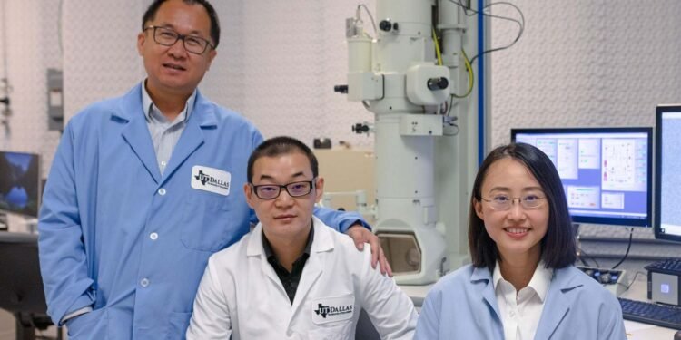 Deep research shows how the kidney cells make themselves. Nano Digest.