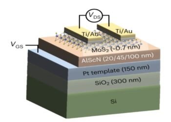 A ferroelectric transistor that stores and computes in large quantities. Nano Digest.