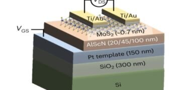 A ferroelectric transistor that stores and computes in large quantities. Nano Digest.