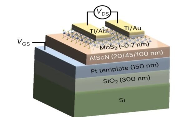 A ferroelectric transistor that stores and computes in large quantities. Nano Digest.