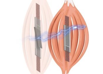 Flexible electric motor with automatic detection. Nano Digest.
