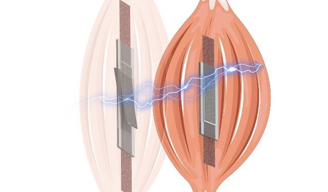 Flexible electric motor with automatic detection. Nano Digest.