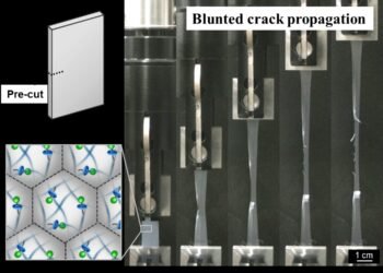 The Nanoparticle-basedLlatex Film is Crack-Resistant. Nano Digest.