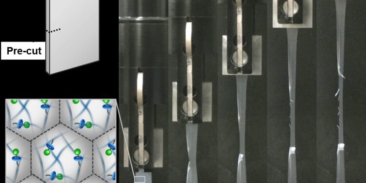 The Nanoparticle-basedLlatex Film is Crack-Resistant. Nano Digest.