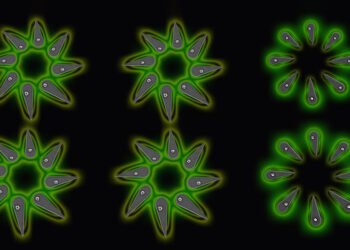 Researchers successfully develop nanoLED systems. Nano Digest.