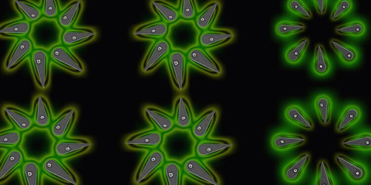 Researchers successfully develop nanoLED systems. Nano Digest.