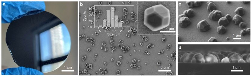 High-Security Anti-Counterfeit Tags. Nano Digest.