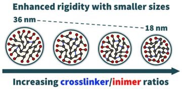 A new kind of organic nanoparticle. Nano Digest.