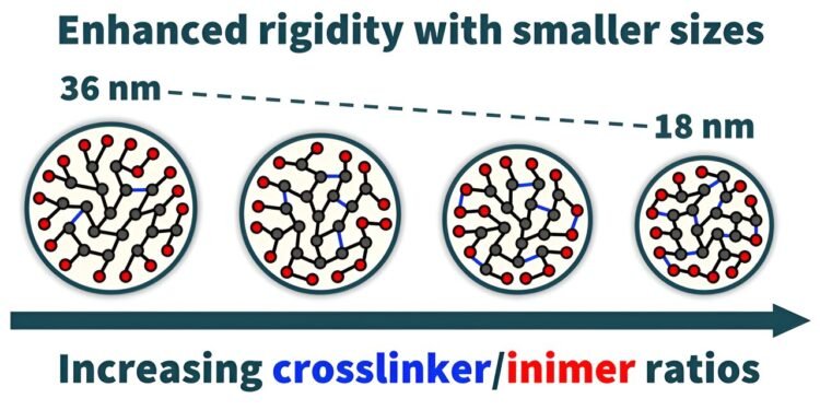 A new kind of organic nanoparticle. Nano Digest.