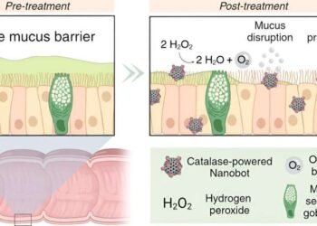 Enzyme-Powered ‘Snot Bots’. Nano Digest.